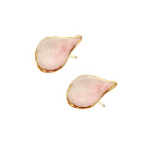 Boucles d'oreilles Wild cerise feuille puces – SCULP
